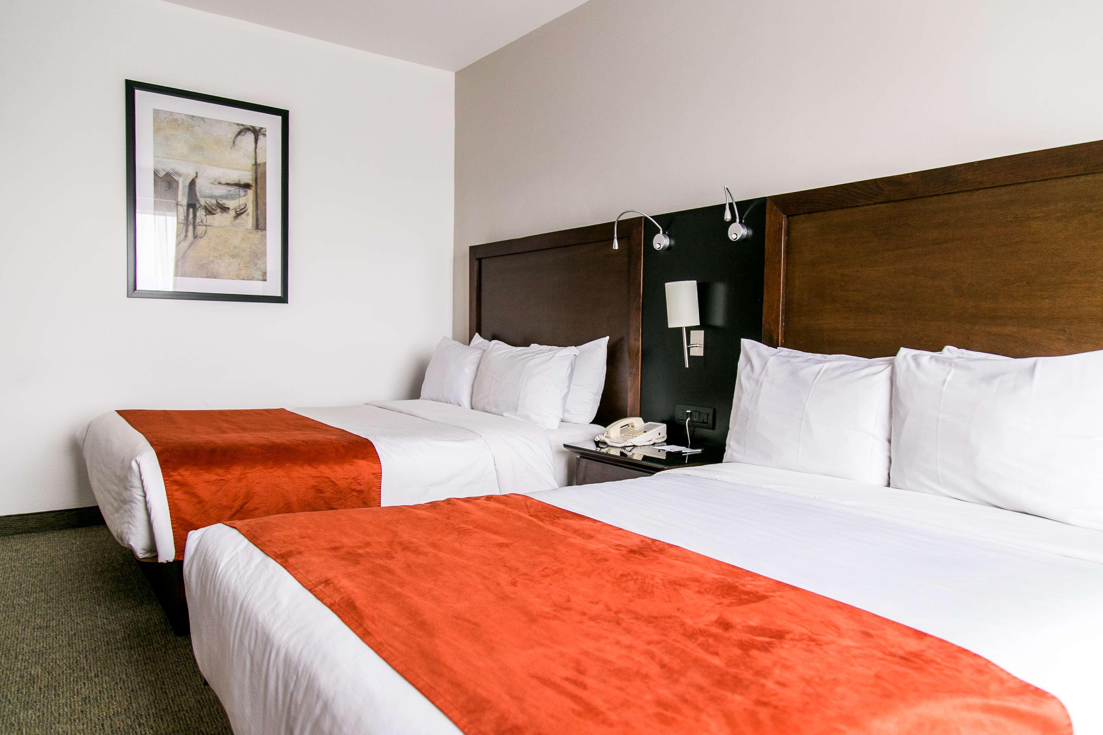 Radisson Poliforum Plaza Hotel Леон Екстер'єр фото